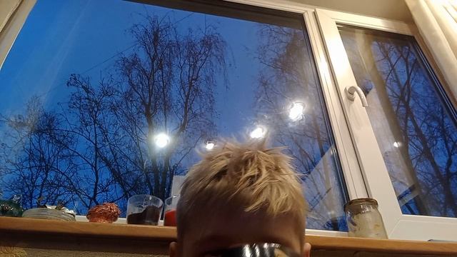 VID_20241112_170637.mp4
