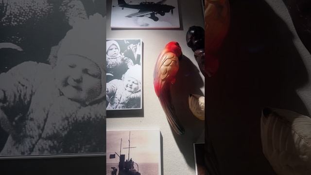 Детские игрушки 1940 год. Подняты из трюма баржи, потопленной немецкой авиацией / Сходи Посмотри