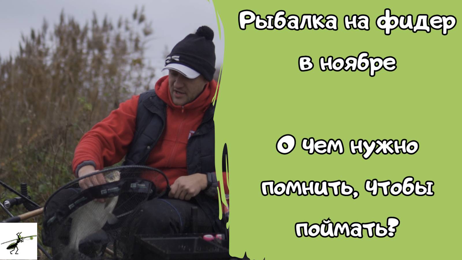 Рыбалка на фидер в ноябре. О чем нужно помнить, чтобы поймать_ Для тех, кто не закрыл сезон #feeder