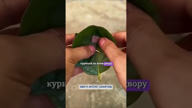 👻😱 ВОТ КАК