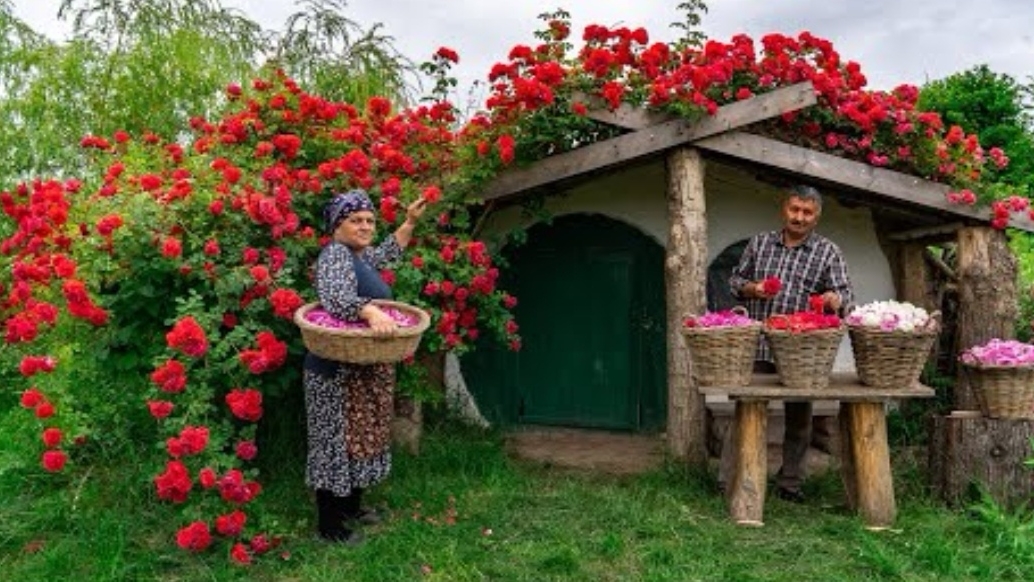 🌹 Традиционное Розовое Варенье: Домашний Рецепт из Свежих Роз