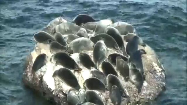 2011 год. Сентябрь №9