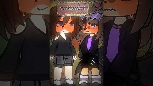 ||Они здооохли||Пов:ос спросила куда делись прошлые ос:||