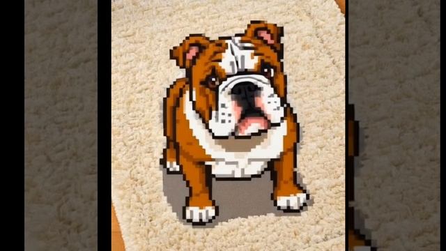 1000006501.mp4