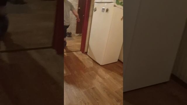 1000010715.mp4