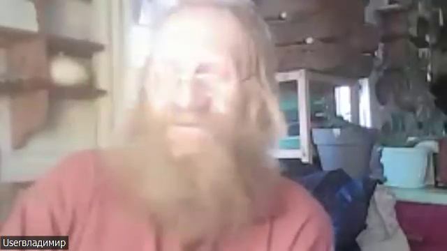 Животные в Родовом поместье