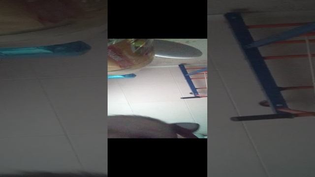 VID_20241112_124350.mp4