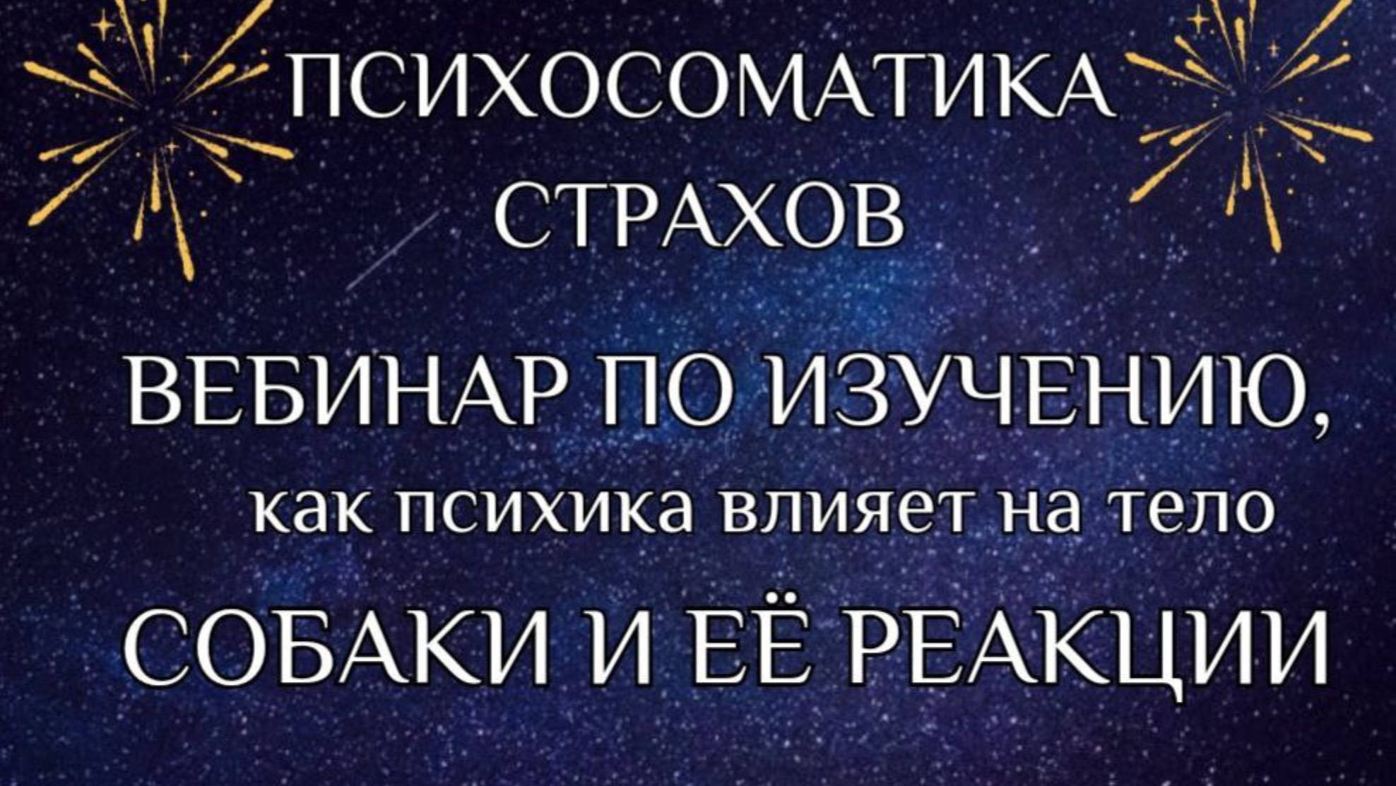 3 ЭТАПА КОРРЕКЦИИ СТРАХОВ У СОБАКИ, ЧЕРЕЗ ОСОЗНАНИЕ, ЧТО ЭТО НЕ СТРАШНО