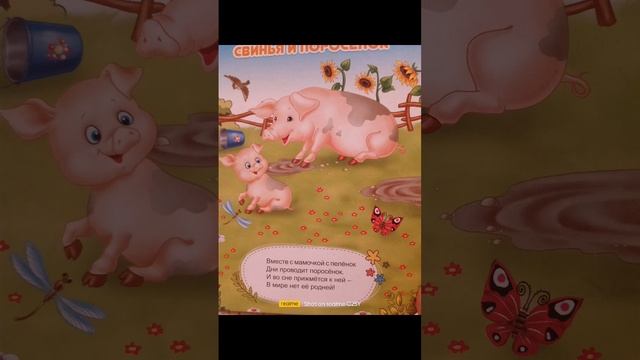 scene_output.mp4