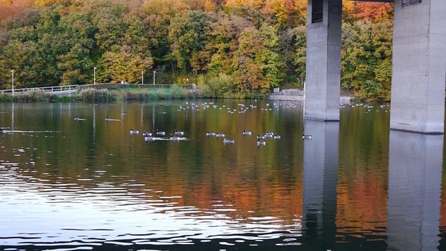 Iserlohn Deutschland Seilerseen Park 2024