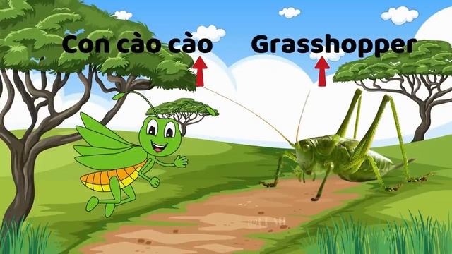 100 Loài Động Vật Cho Bé Tập Nói Sớm 🐖🐘🐊🐳 Bé Học Tiếng Anh Con Vật Qua Hình Ảnh Và Tiếng Kêu