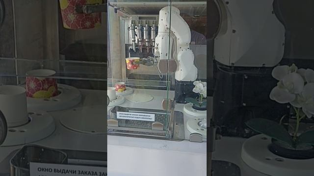 РОБОТ- МОРОЖЕНЩИК В СОЧИ