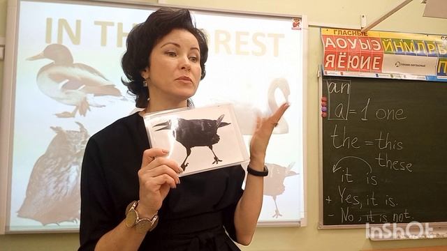Артикль "a /an". Запоминаем название птиц