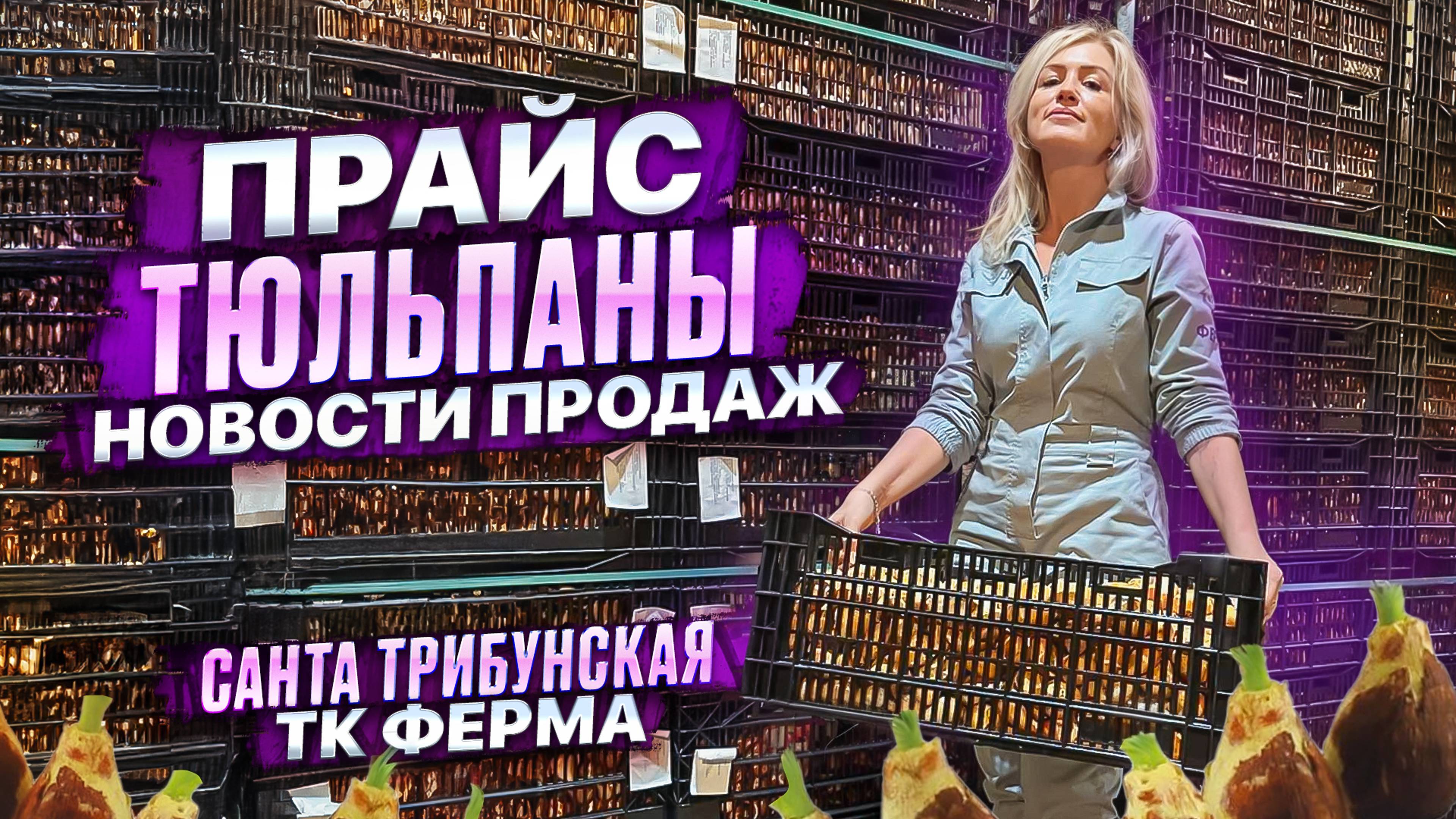 ТЮЛЬПАНЫ. НОВОСТИ ПРОДАЖ
ТЮЛЬПАНЫ. НОВОСТИ ПРОДАЖ
ТЮЛЬПАНЫ. НОВОСТИ ПРОДАЖ