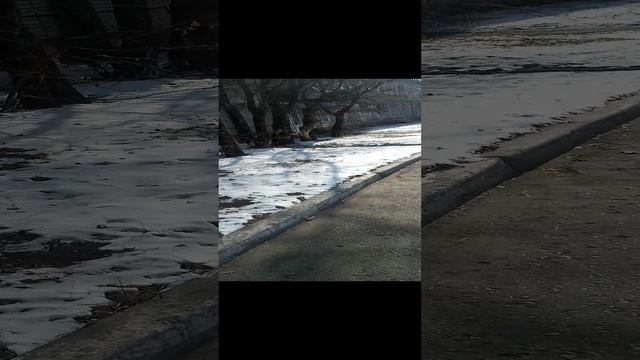 Осмелела, первый раз после операции гуляю одна.