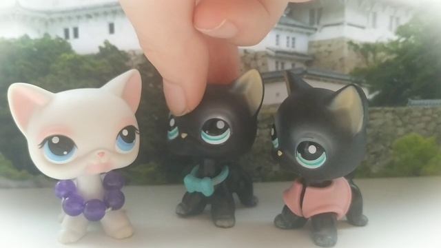 Littlest pet shop: Не Любовь 1 серия 1 сезон