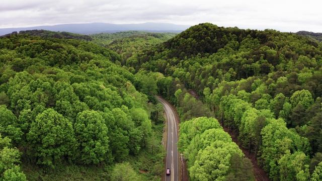 4249221-uhd_3840_2160_24fps