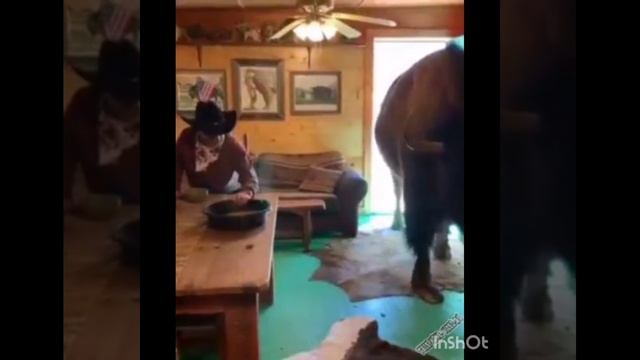 InShot_20241112_132143290.mp4