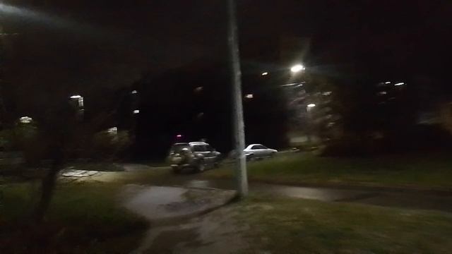 VID_20241112_042947.mp4