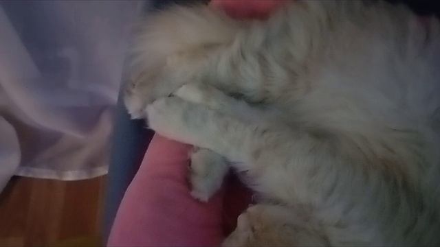 ждëм день рождения🎂🎉🎁