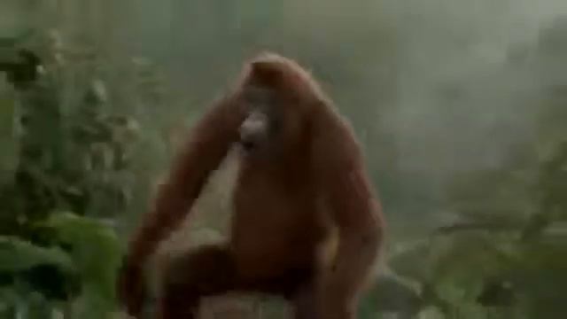 Всем хорошего дня!Смотреть до конца