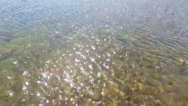 Оренбургское море - ириклинское водохранилище.