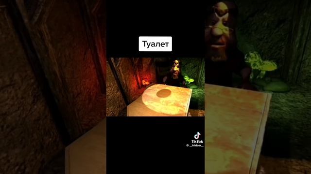 туалет дома