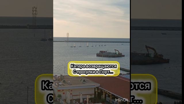 НИКОГДА НЕ ВИДЕЛА ТАКОГО 😲👍💪😄