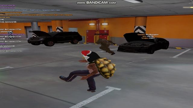 Соломон на колени на колени