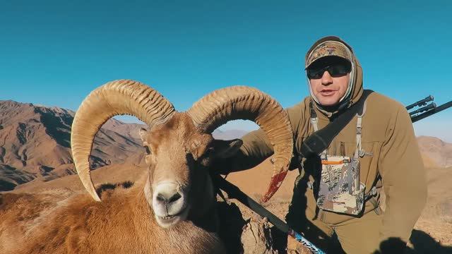 Охота в Иране, декабрь 2018 / Mountain hunting in Iran, December 2018