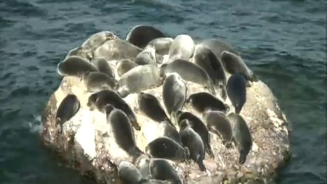 2011 год. Сентябрь №10