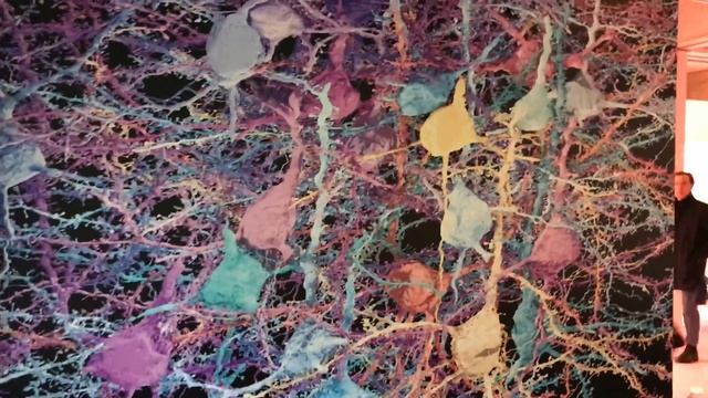 Connectome Neuron mural at Princeton University