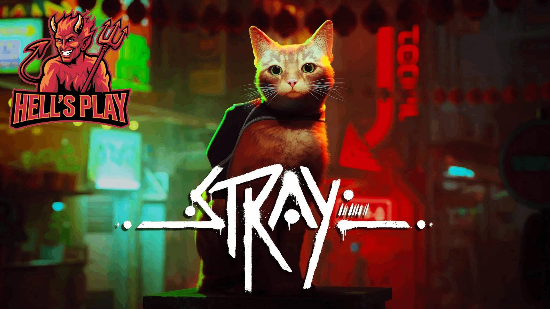 [РОЗЫГРЫШ] #1 Stray - я, мы - котик!