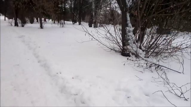 Савин-Виталий- Для вас я Не пьющий правельный зять.