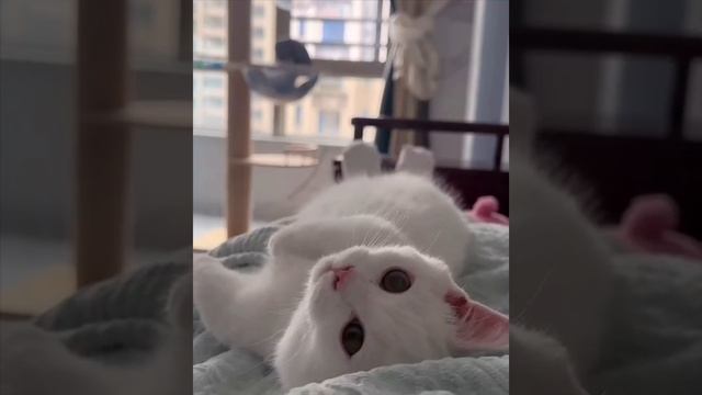 Отдыхает 🤪