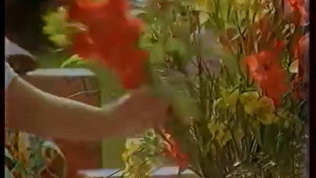 Кипелов - Реклама "Mentos" (1997)
