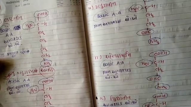 amino acids || Chemistry 12th science ch 14 L-1 || Chemistry in Gujarati