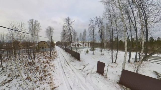 3866073