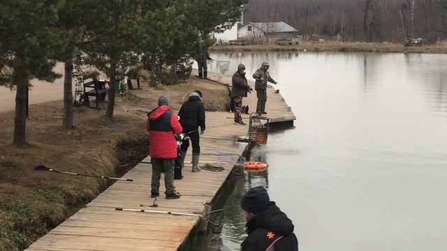 Поимка форели у юного рыбака
