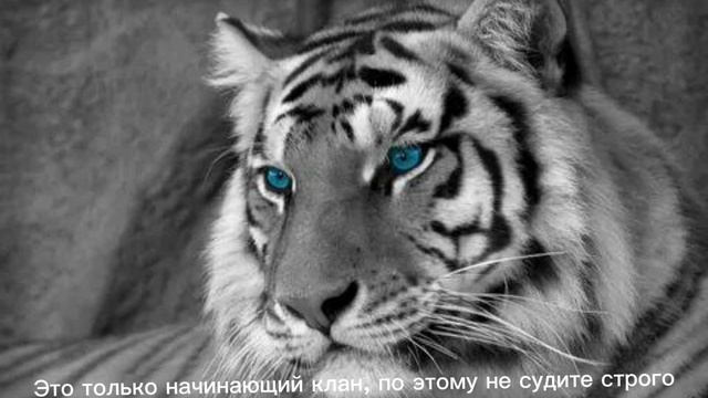 Вступайте к нам в клан! (wildkraft)