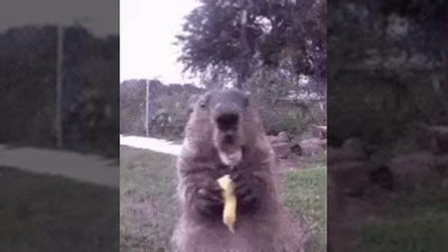 1000002848.mp4
