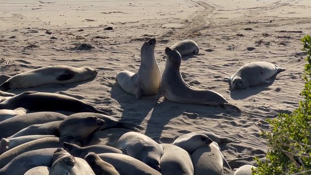 15201787-hd_1920_1080_30fps