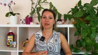 Астропрогноз на Неделю 29 июля - 4 августа 2024💖🌟#астрология #психология