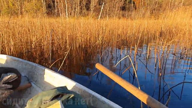 МЕГА ПОКЛЕВКА ЩУКИ | ТРОФЕЙНАЯ ЩУКА | Рыбалка в Карелии | Бездонное озеро | МЕГАЩука на ультралайт |