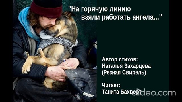 «На горячую линию взяли работать ангела...»