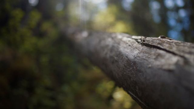 4124897-uhd_3840_2160_24fps