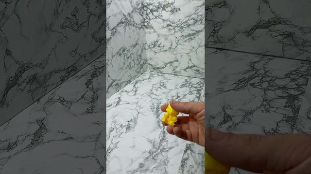 VID_20240727_183813