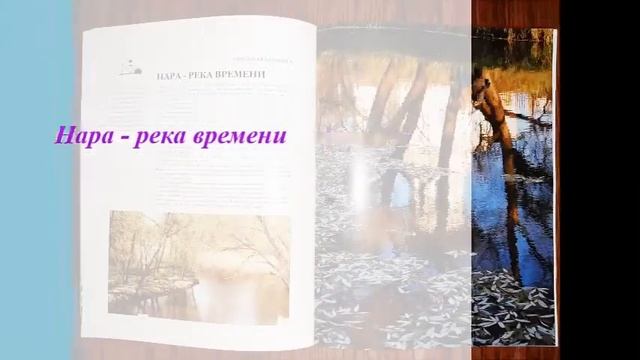 Рубрика «Родного края разноцветье…»