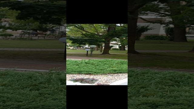 1000010856.mp4