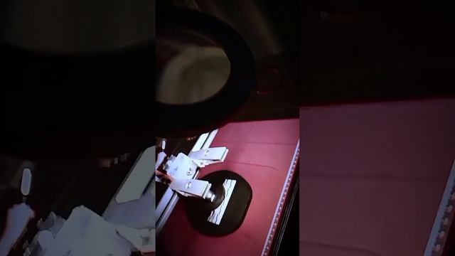 1000014351.mp4